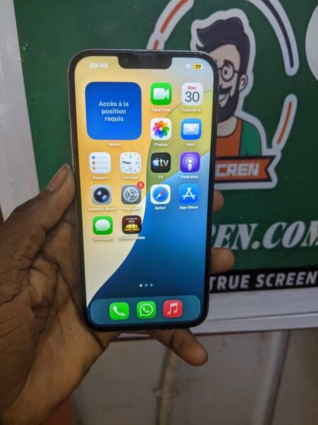 iPhone 13 Pro Max 256GB