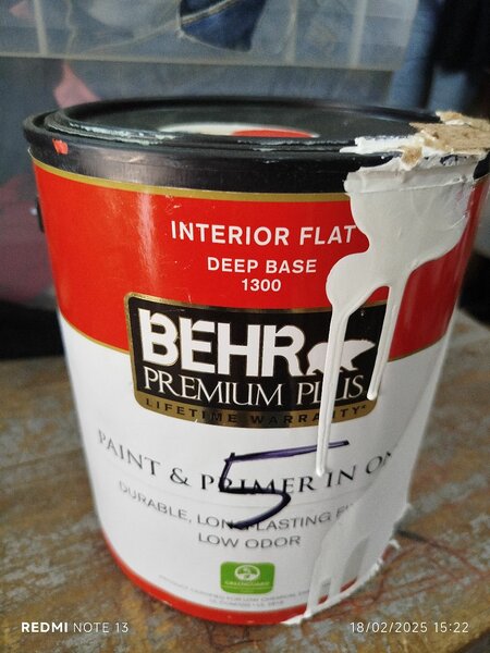 BEHR paint , washable