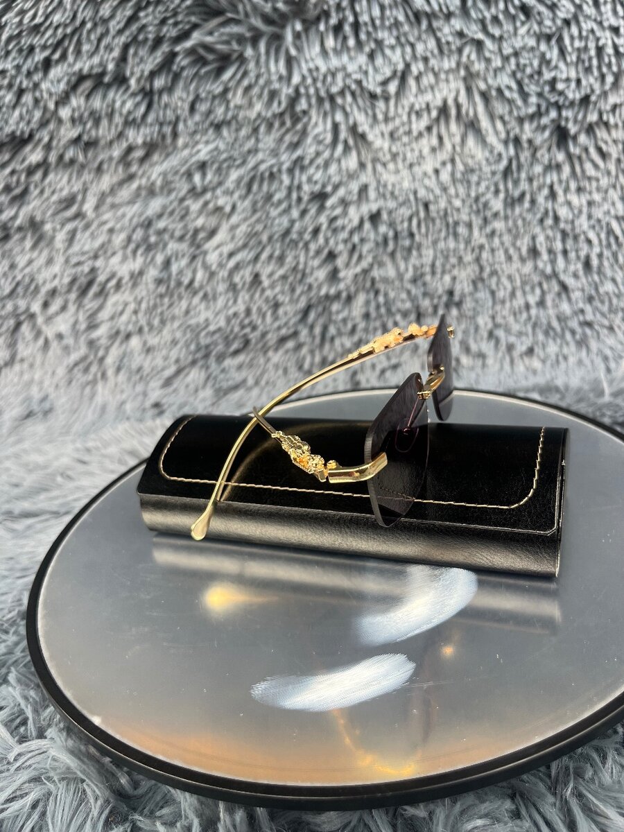 Lunettes de soleil élégantes