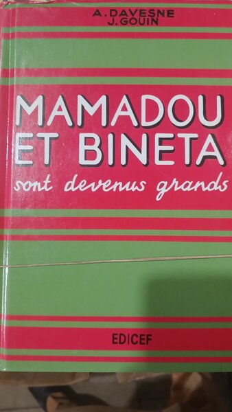 Mamadou et Bineta - Éduction