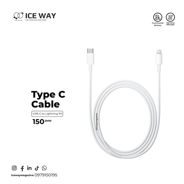 Apple iPhone Charger