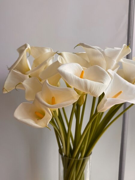 Каллы белые