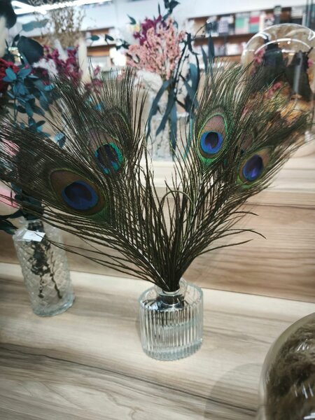 Перья павлина