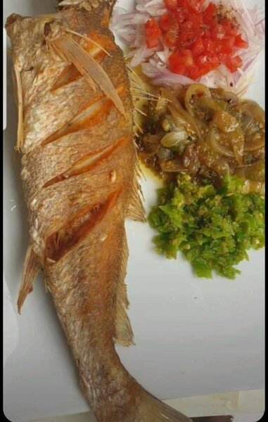 Bouillon de Poisson Authentique