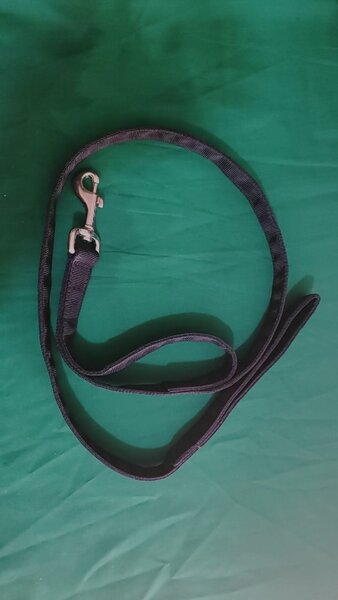 Laisse pour chien en nylon robuste