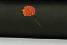 Красивая ткань с узором Купра штапель для пошива одежды