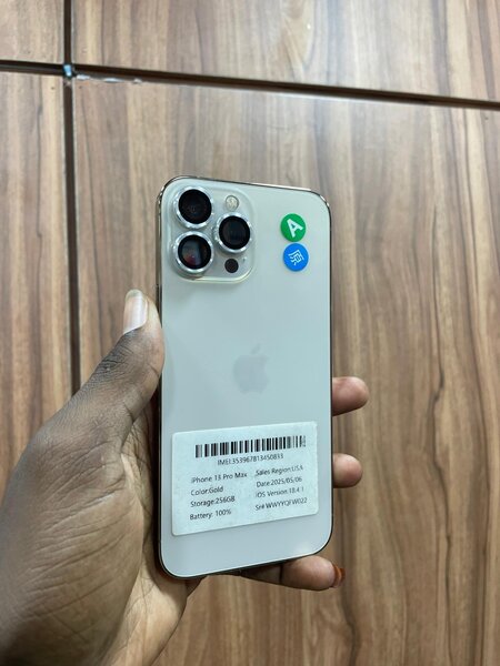 iPhone 13 PRO MAX 256g