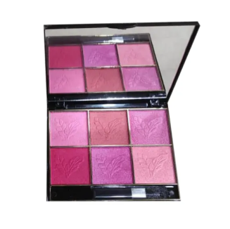 6 color blush on kit
