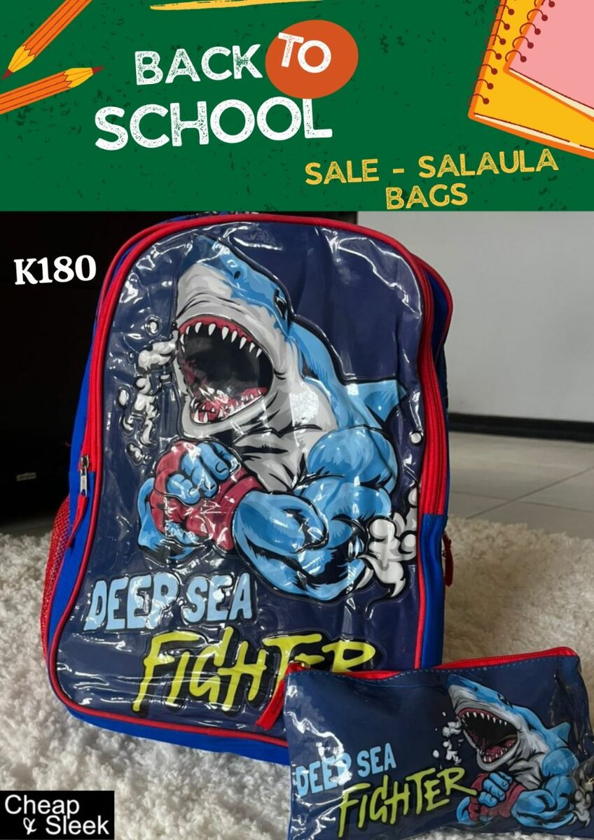 Second Hand School Bag