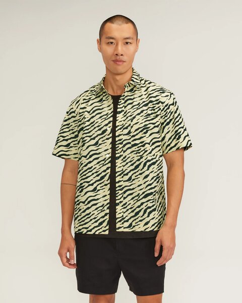 Everlane Shirt