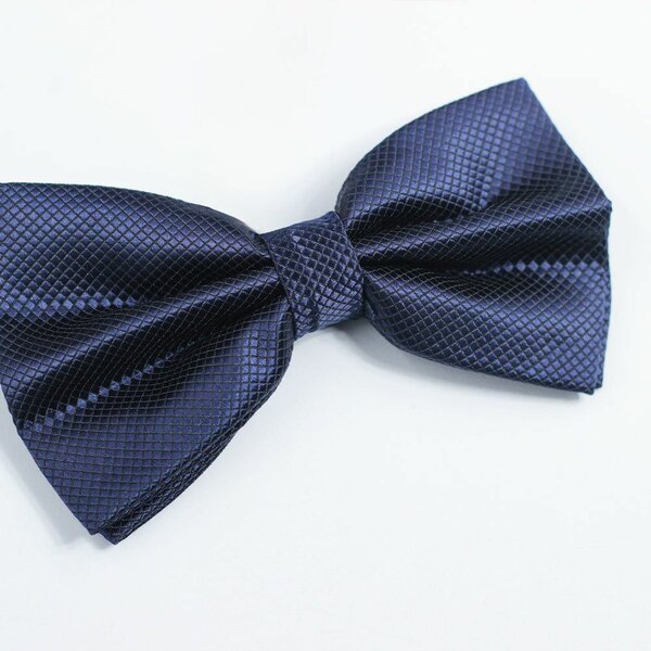 Blue Bow tie