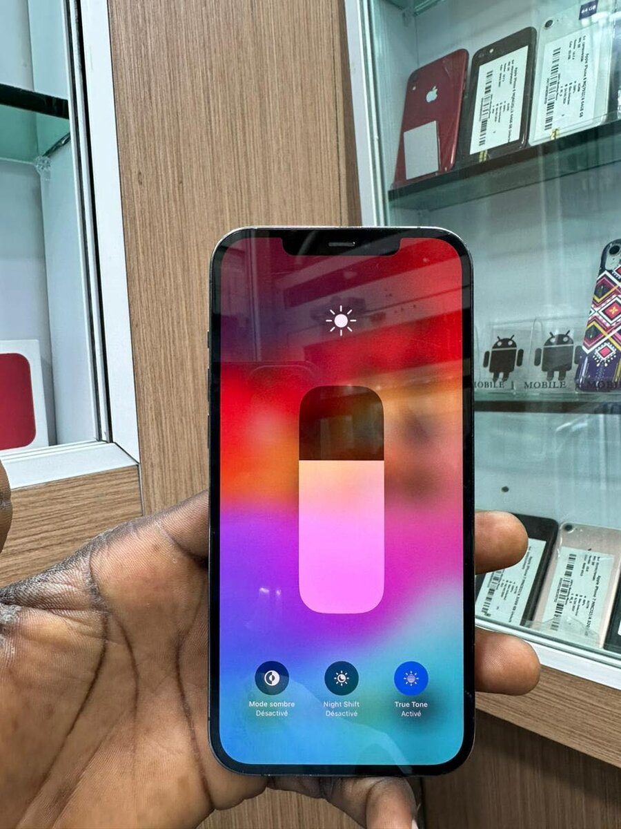 12 Pro Max 256go disponible