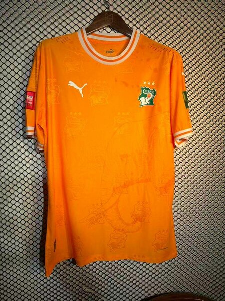 Maillot Côte d'Ivoire Puma