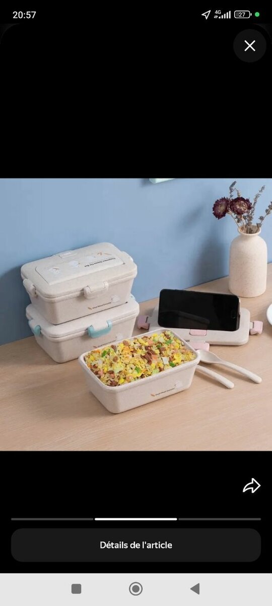 Boîte à lunch étanche avec support