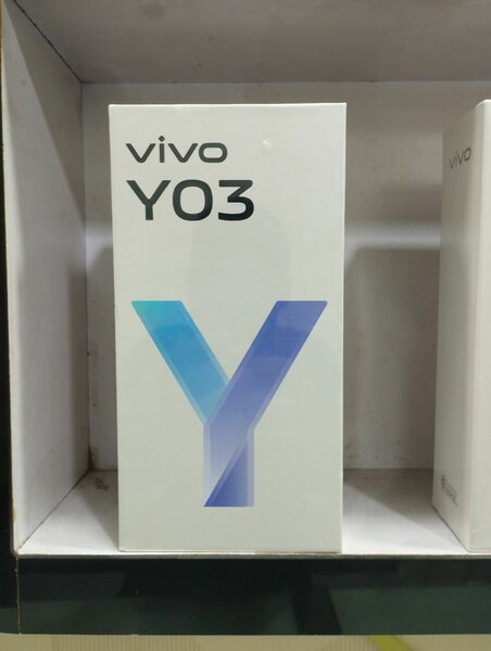 Vivo y 03