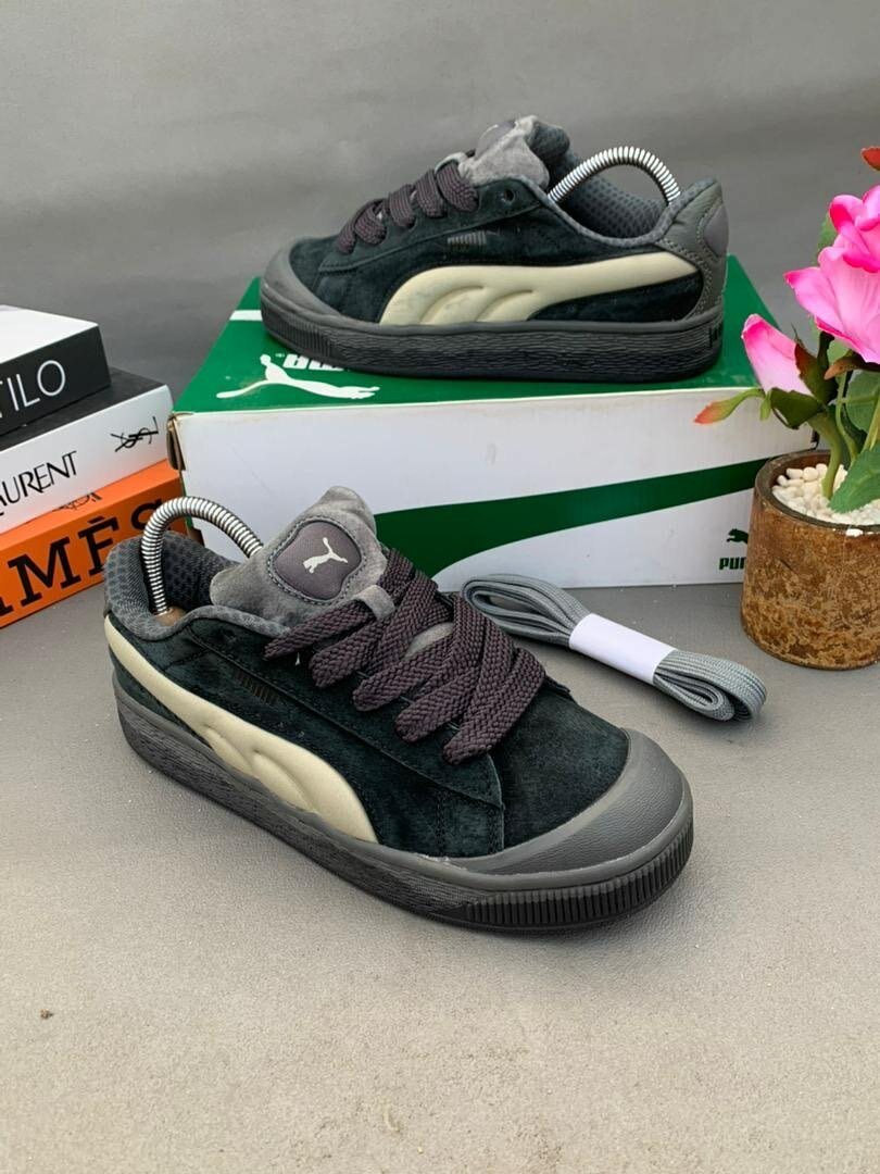 Puma avec son carton