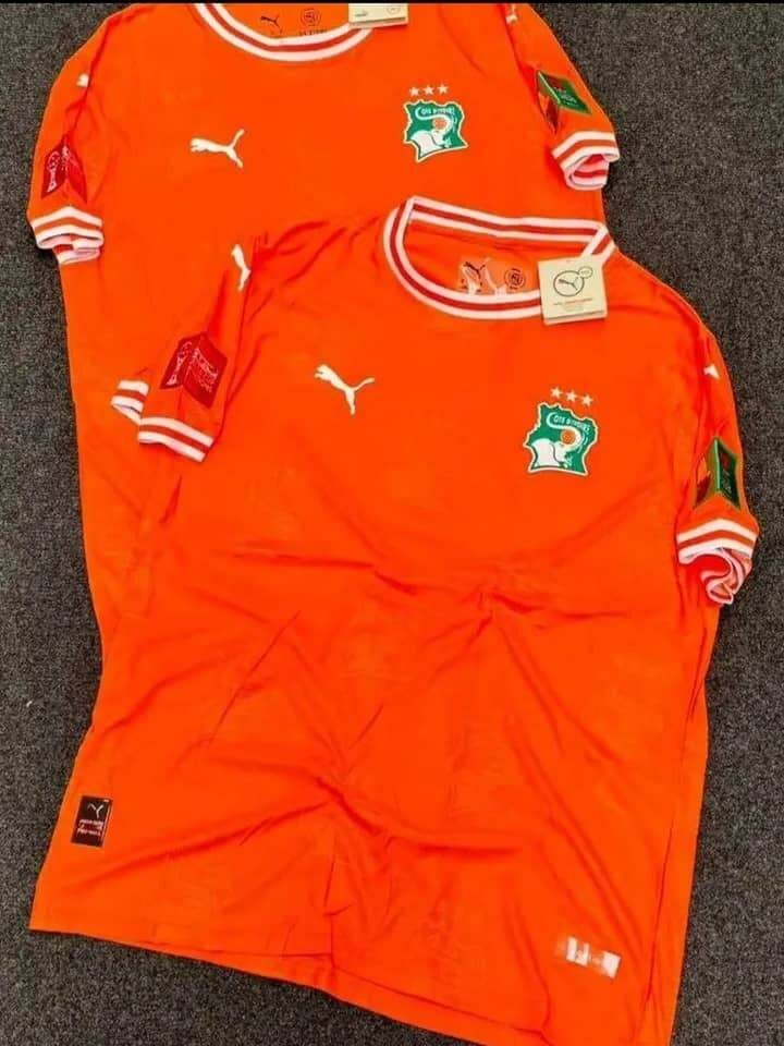 Maillot Côte d'Ivoire Puma