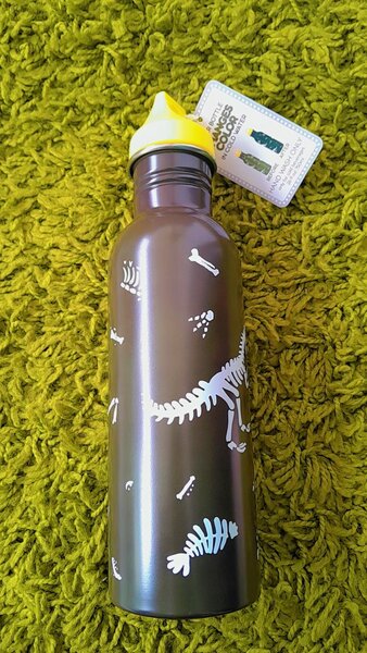 Gourde Enfant Dinosaure