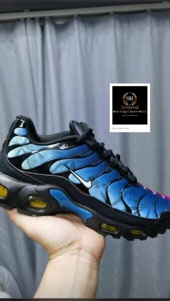 Basket NIKE TN authentique avec sa boîte