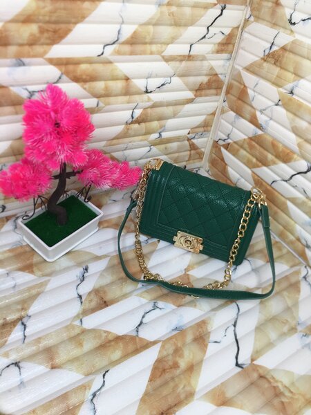 Ladies  bag
