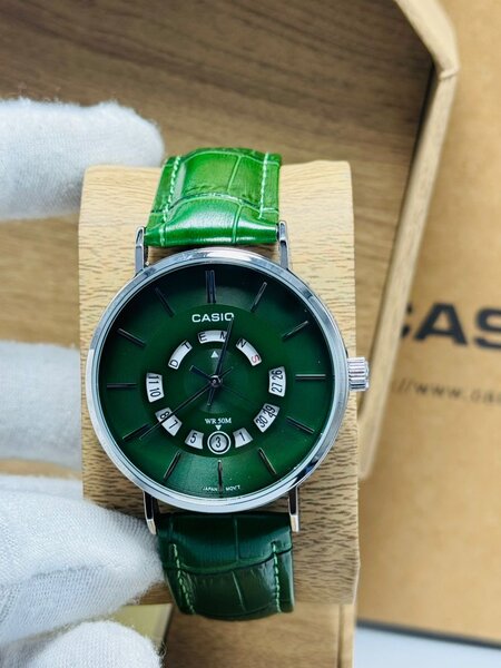 Montre Homme Élégante Casio