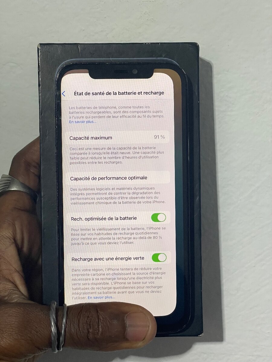 iPhone 12 Pro Max 256GB