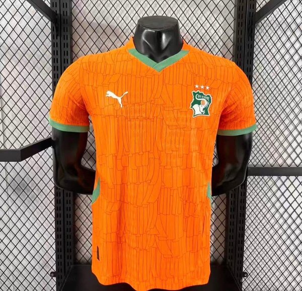Maillot Côte d'Ivoire Puma