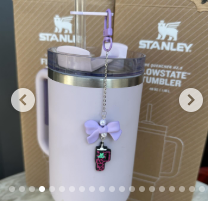 Stanley Cup Accessories