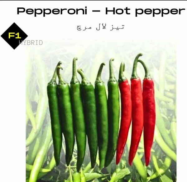 Pepperoni Seeds (Hot Pepper), F1 Hybrid