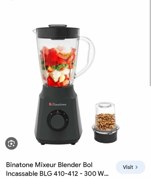 Blender Mixeur Puissant 300W