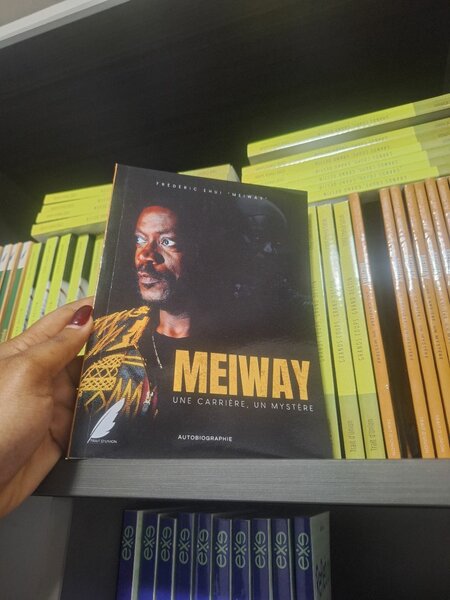 Autobiography of Meiway