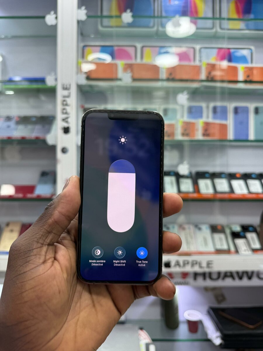 iPhone avec 256 Go - Gris