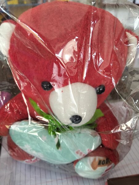 Taddy Bear