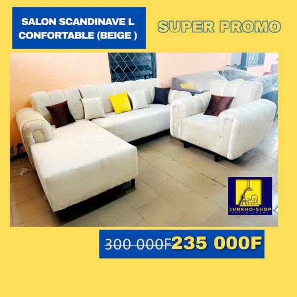 Salon scandinave l confortable