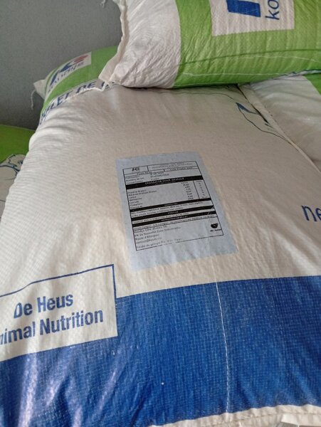 Croissance chaire Koudijs