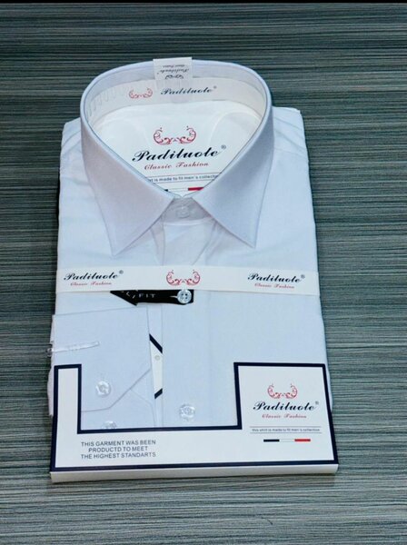 Chemise Classique Homme