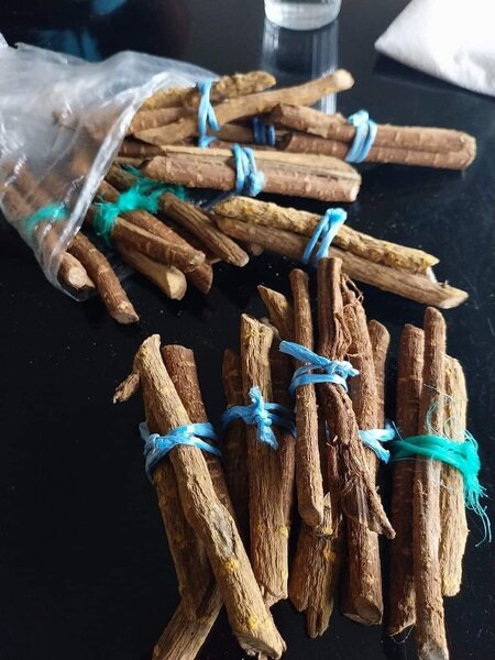 cure dent gouro à marcher