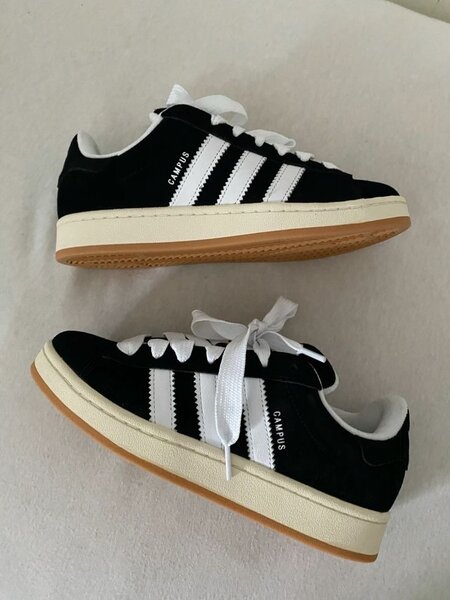 Adidas campus original