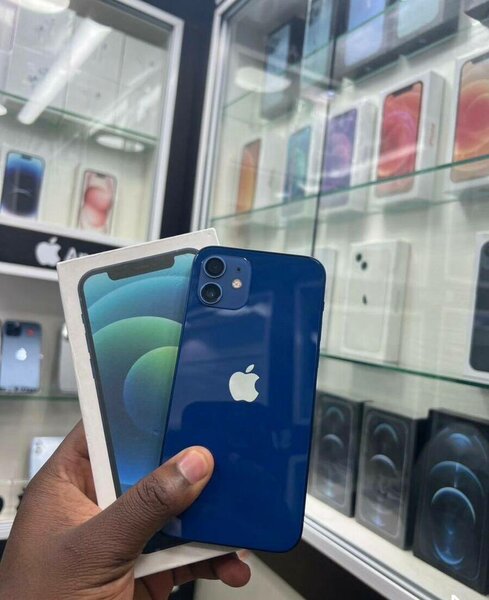 iPhone 12 Bleu Débloqué