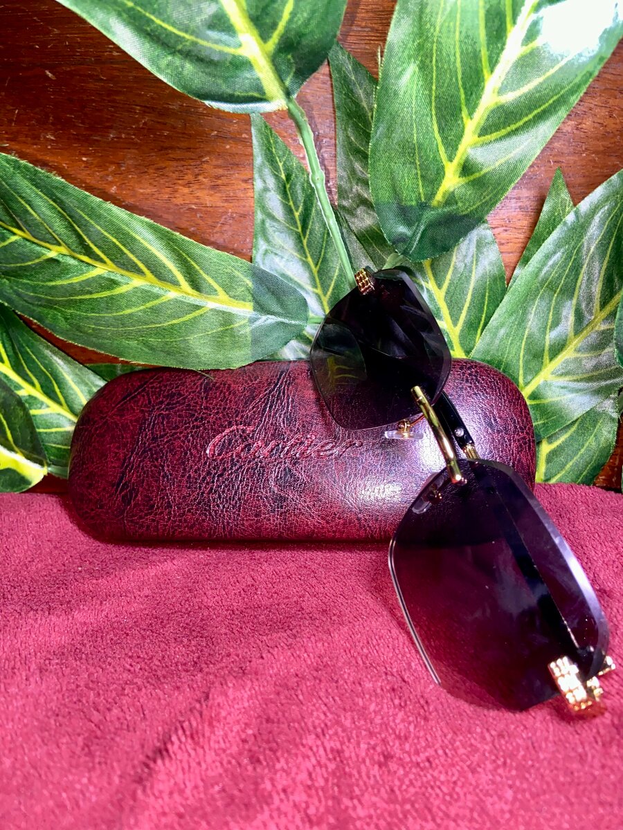 Lunettes de Soleil Cartier Élégantes