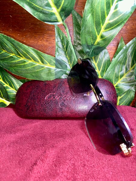 Lunettes de Soleil Cartier Élégantes