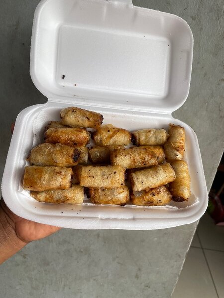 20 nems au poulet