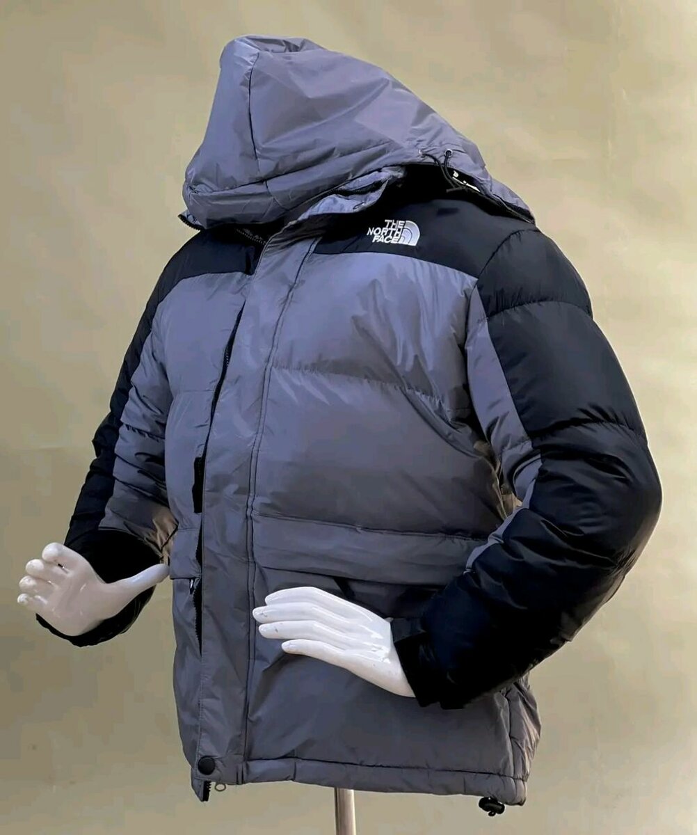 The north face