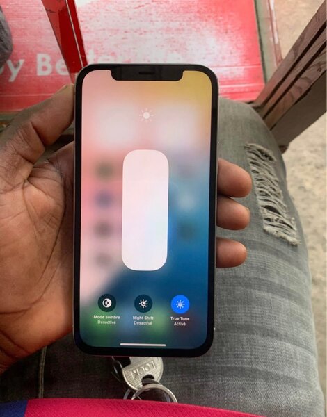 iPhone 12 Pro Max 256 Go Argent