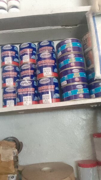 Auto Paints and Accessories