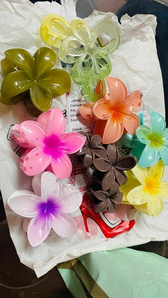 Barrettes Hawaï