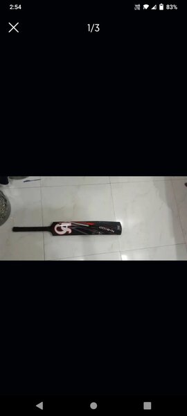 Bat