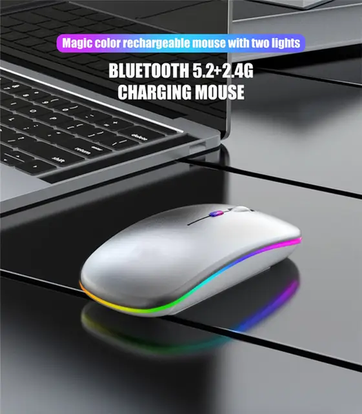 Souris sans fil Bluetooth