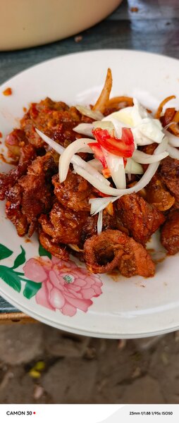 Porc braisé, sauté revenir