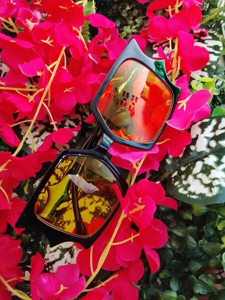 Lunettes de soleil élégantes